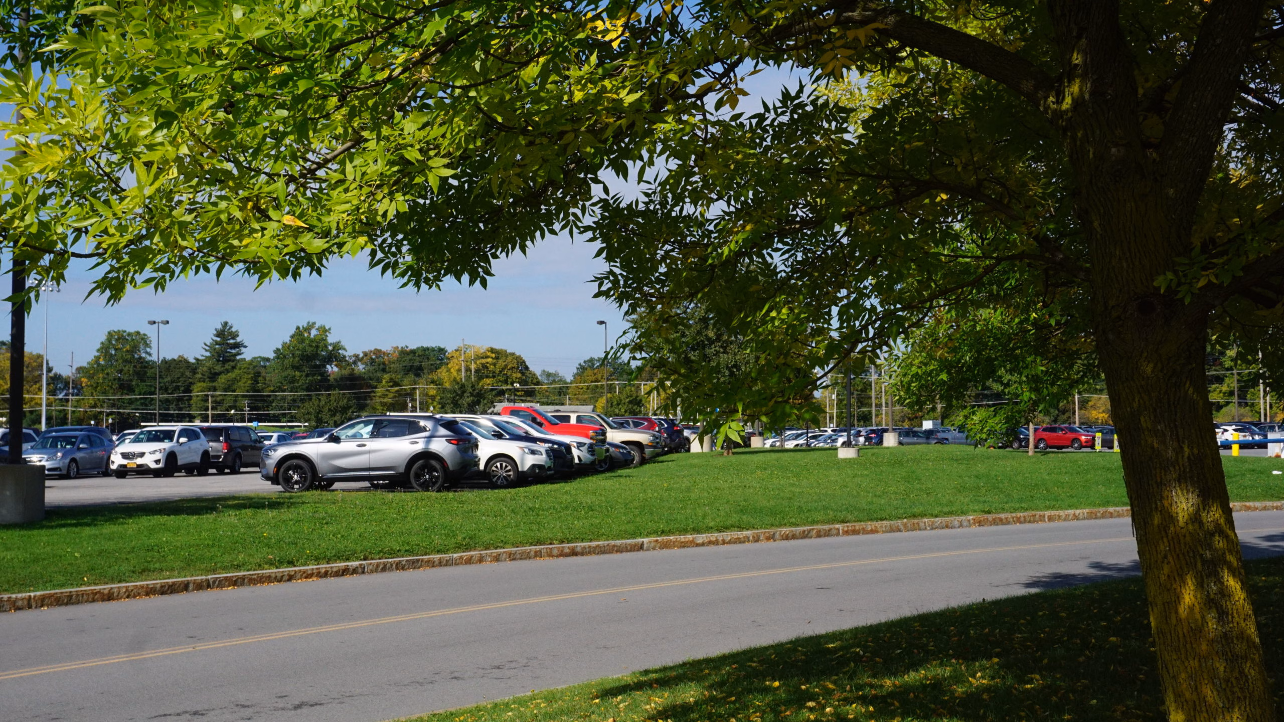 Campus parking lot with trees.